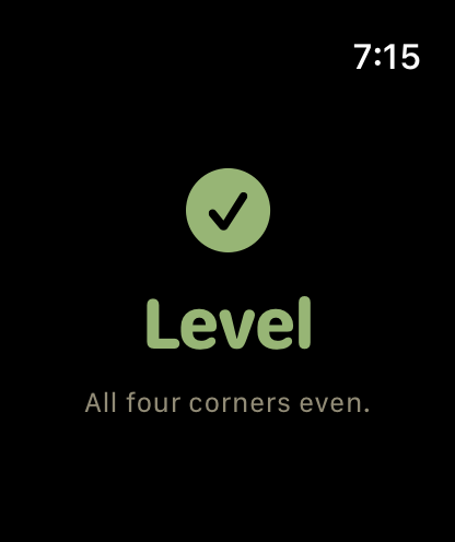 Watch showing Level